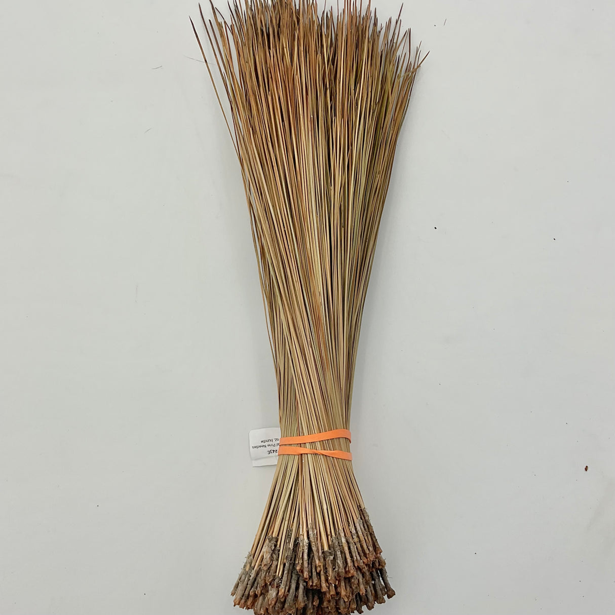 Long Leaf Pine Needles-8 oz. bundle