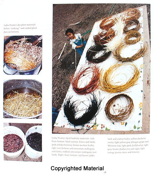 Indian Basketry Artists of the Southwest