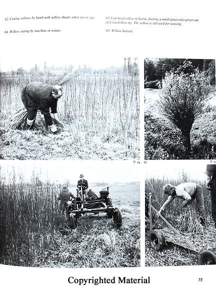 International Basketry