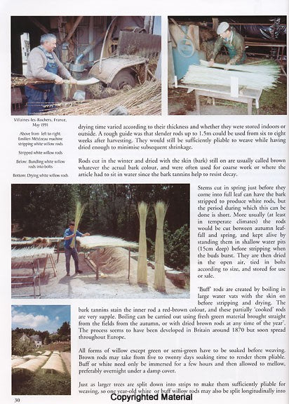 Baskets in Europe by Maurice Bichard