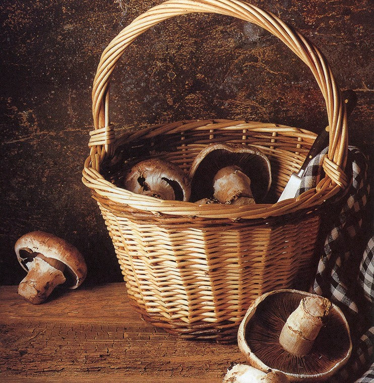 Basketwork by Polly Pollock