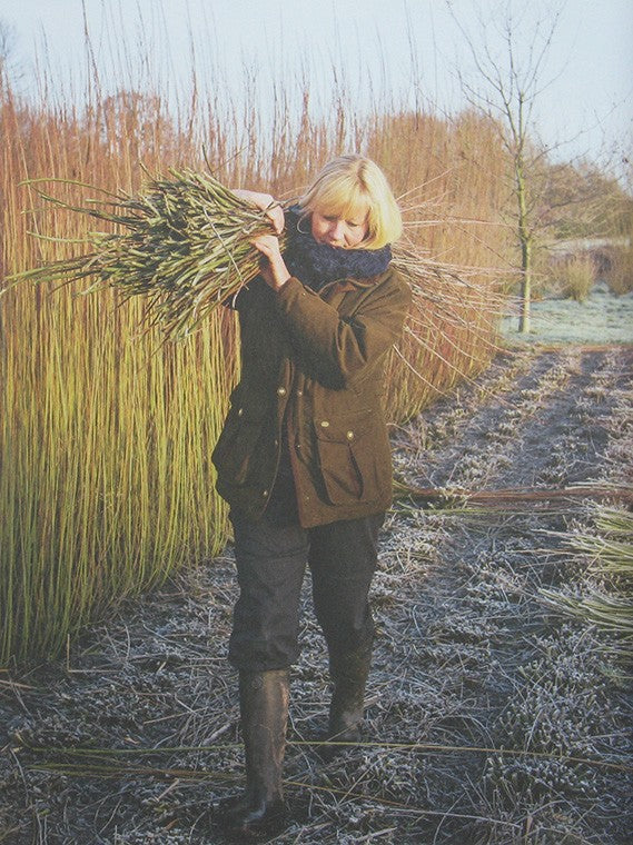 Willow A Guide to Growing and Harvesting by Jenny Crisp