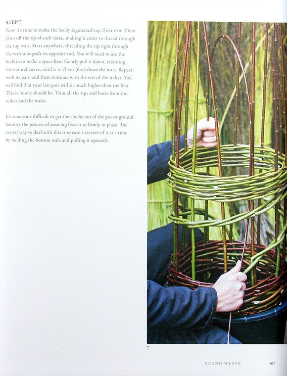 Willow A Guide to Growing and Harvesting by Jenny Crisp