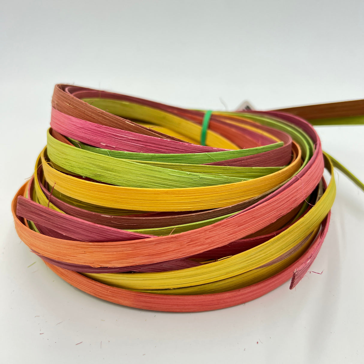 Spring Fever - 3/8" Flat - Variegated/Space Dyed Dyed Reed (1/4 lb coil)