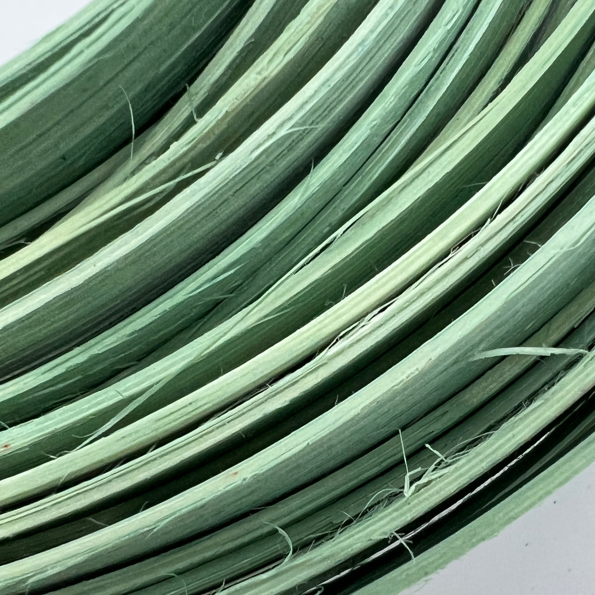Sage Green - 3/8" Flat - Dyed Reed (1/4 lb coil)