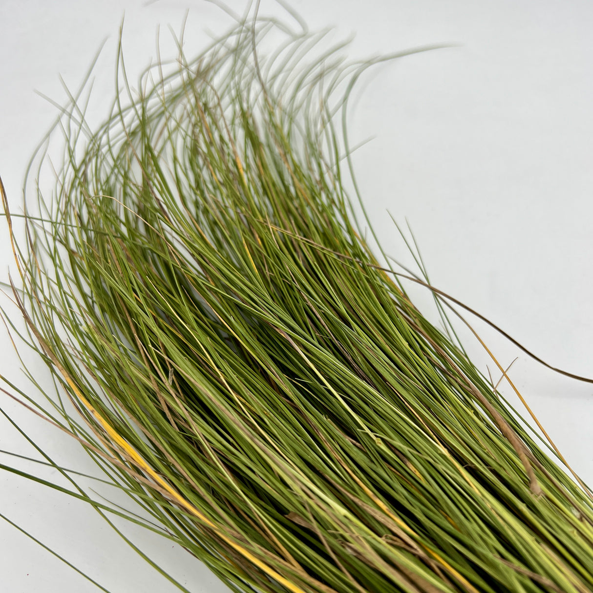 Sweetgrass