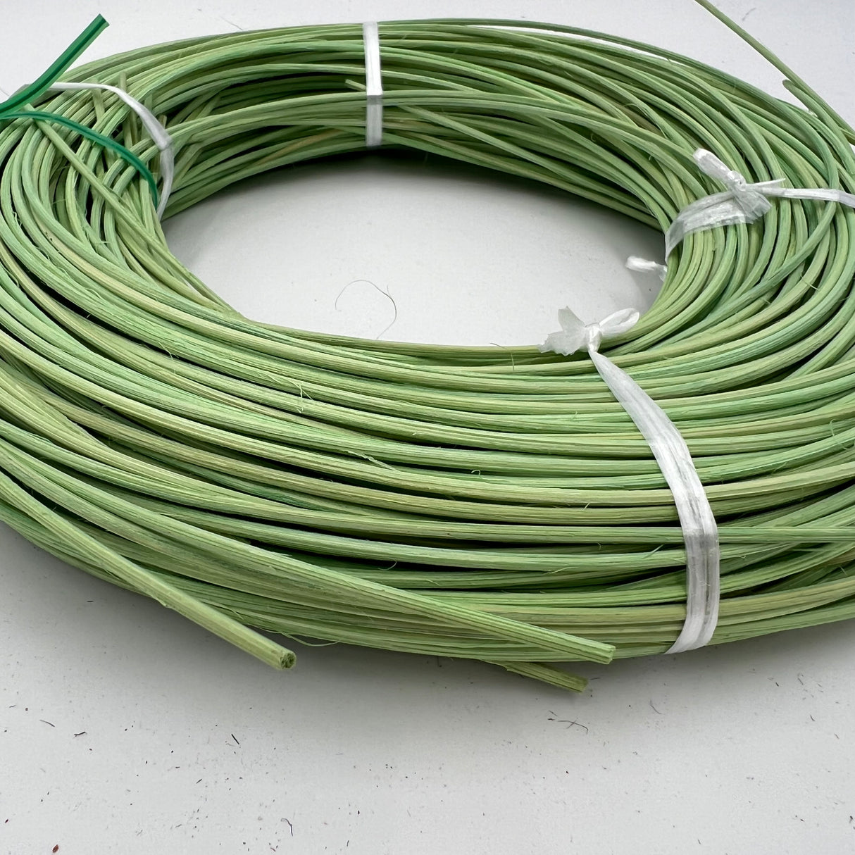 Celery - #3 Round - Dyed Reed (1/2 lb coil)