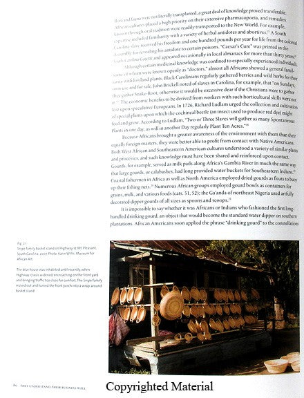 Grass Roots: African Origins of an American Art