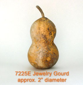 Small Gourd  Unwashed