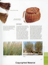 Basketry: Basic Techniques Explained Step by Step by Caterina Hernandez and Eva Pascual