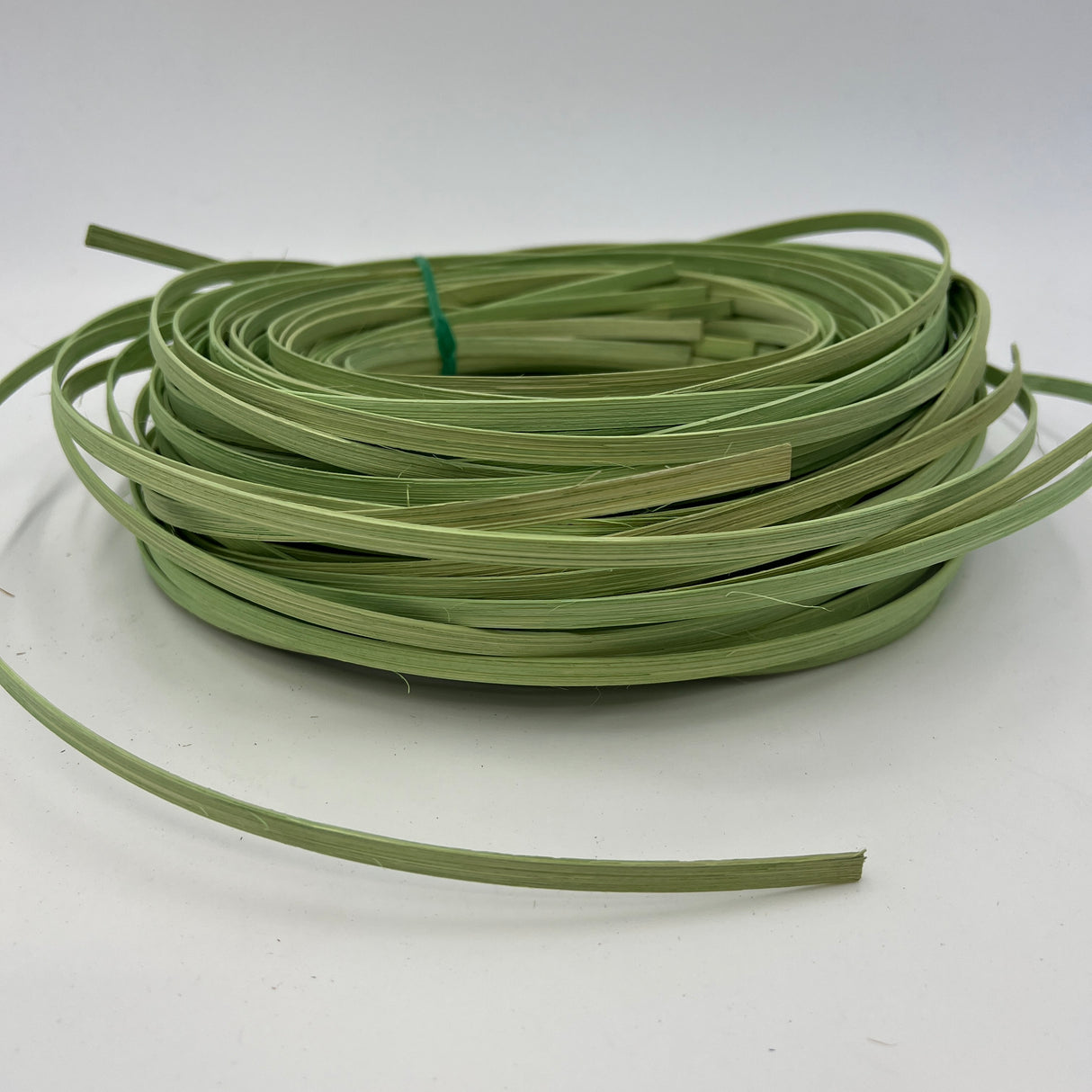 Celery - 1/4" Flat - Dyed Reed (1/2 lb coil)