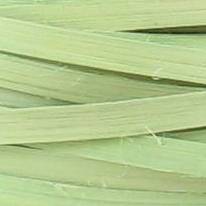 Celery - 1/2" Flat (0.5 lb. bundle)