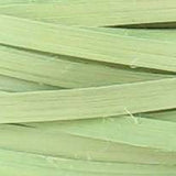 Celery - 1/2" Flat (0.5 lb. bundle)