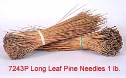 Long Leaf Pine Needles-1 lb. bundle